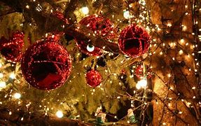 Kerstgroet 2020